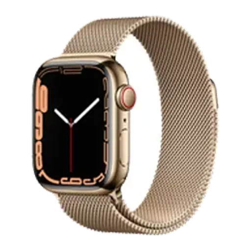 Apple Watch Series 7 41mm Stainless Steel (GPS+Cellular)